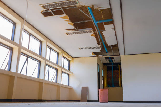 Best Water damage restoration near me  in South Burlington, VT