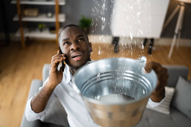 Best Ceiling water damage repair  in South Burlington, VT