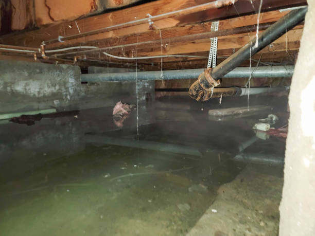 Reliable South Burlington, VT Water damage restoration Solutions