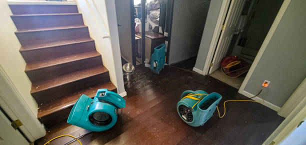 Best Mold removal after water damage  in South Burlington, VT