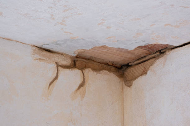 Best Water damage cleanup near me  in South Burlington, VT