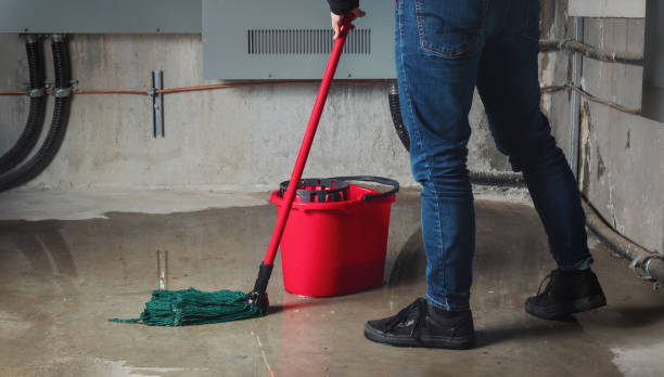 Best Ceiling water damage repair  in South Burlington, VT