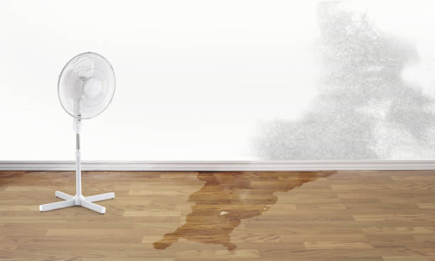  South Burlington, VT Water damage restoration Pros