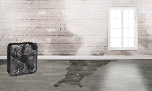 Best 24-hour water damage restoration  in South Burlington, VT