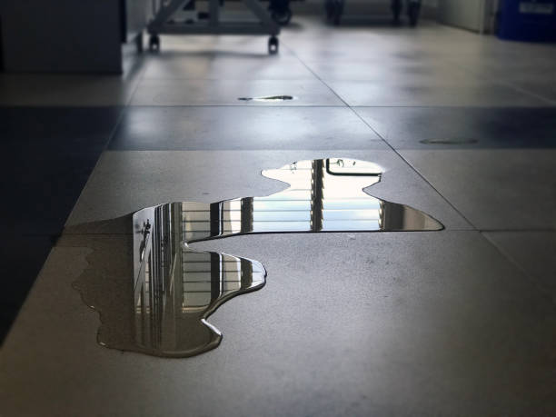 Best Water damage restoration services  in South Burlington, VT