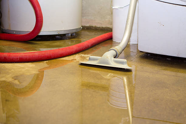 Best Flooded house restoration  in South Burlington, VT