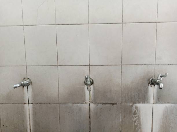 Best Water damage cleanup near me  in South Burlington, VT