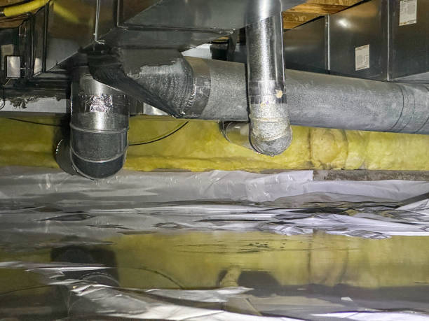 Best Local water damage restoration  in South Burlington, VT