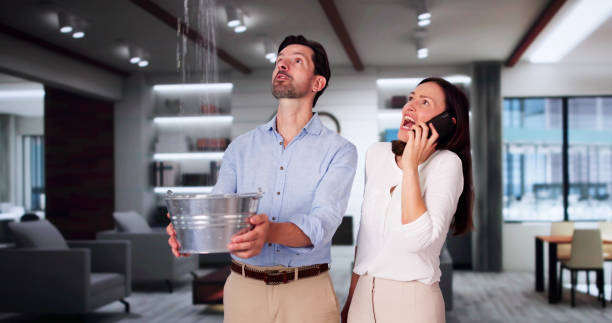 Best Fire Damage Restoration  in South Burlington, VT