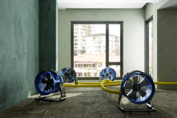 Best Local water damage restoration  in South Burlington, VT